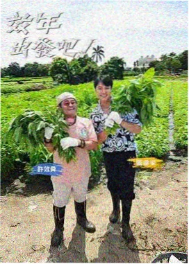脱口秀大会-综艺在线观看完整版